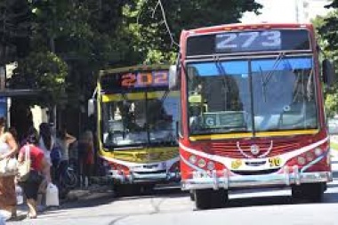 ¿Qué le dirán?: la Defensora Ciudadana quiere saber si los concejales autorizaron el tarifazo del transporte