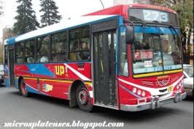 Paro en La Plata: los dueños de los colectivos no le pagan a sus choferes y los platos rotos los pagan los usuarios