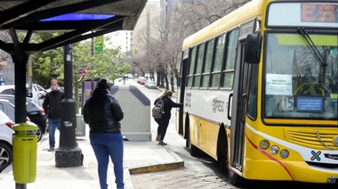 Transporte público: últimos días para completar el formulario que busca mejorar el servicio en La Plata