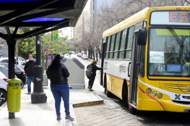 Transporte público: últimos días para completar el formulario que busca mejorar el servicio en La Plata