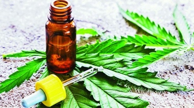 En Bahía Blanca las farmacias ya venden cannabis para uso medicinal