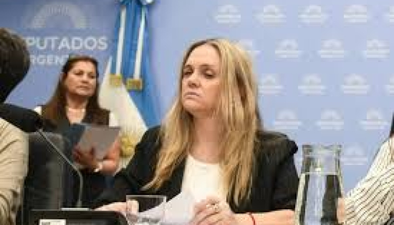 Al nene no le andaba la Sube: diputada libertaria confesó que le dio a su hijo pasajes oficiales de avión para que vaya a la facultad