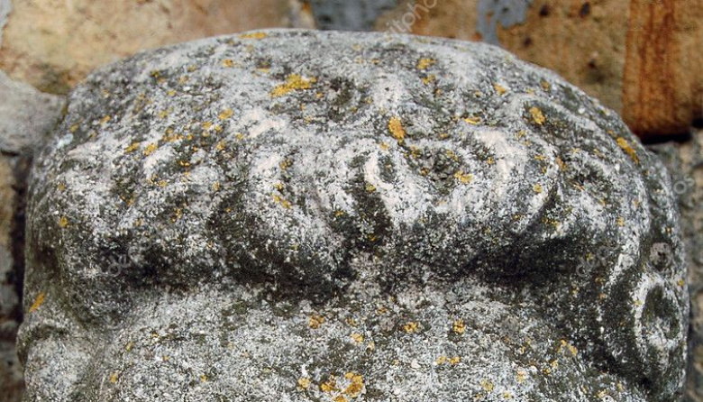 Cara de piedra: Milei dijo que no hay inflación sino "salto de precios"