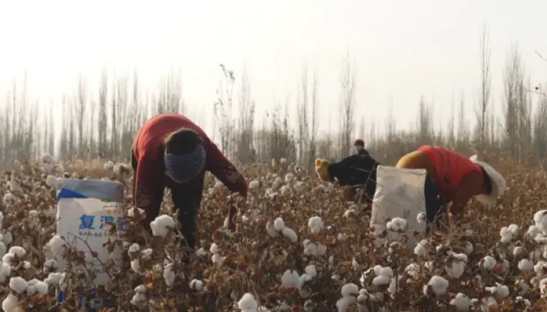 Trabajo esclavo, explotación infantil: estremecedor informe sobre las fábricas de ropa "buenas y baratas" que están destruyendo la industria textil argentina