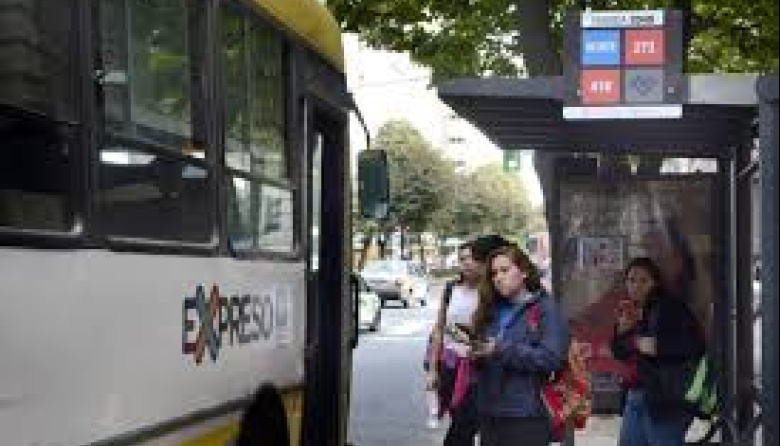 Justo y necesario: proponen colocar carteles de asistencia a víctimas de violencia de género en paradas de colectivos en La Plata