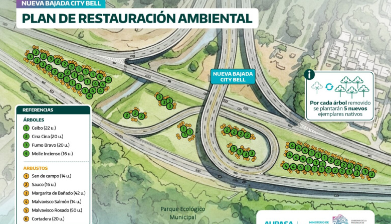 Obras por la bajada de City Bell: por cada árbol removido, AUBASA plantará cinco