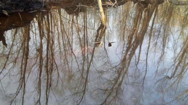 Avioneta: encontraron restos humanos en la zona donde cayó