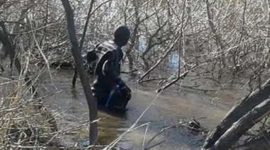 La hipótesis de las "manzanas podridas" y los temerarios escenarios por el caso Maldonado