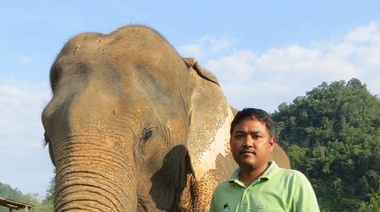 Sigue la novela de Pelusa: ahora le van a traer un "elefantólogo" de la India