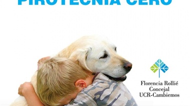 Este podría ser el último año en que se venda pirotecnia en La Plata