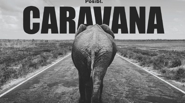 Nada que ver con Dumbo o Trompita: están rodando una película sobre la triste vida de la Elefanta Pelusa