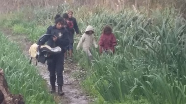 Ensenada: el municipio rescató a cinco hermanitos que habían sido abandonados en la selva marginal