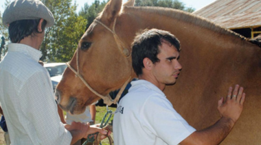 El mundo del turf quiere tragamonedas para salvar 40 mil empleos en La Plata