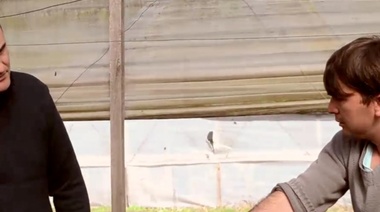 Para enfrentar la tormenta, impulsan una tarifa especial para productores en crisis