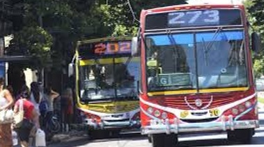 ¿Qué le dirán?: la Defensora Ciudadana quiere saber si los concejales autorizaron el tarifazo del transporte