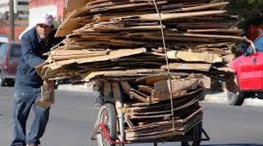 El negocio de la  basura en La Plata: advierten que el sistema de containers será ganancia para Esur y un castigo a los cartoneros