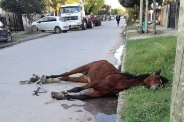 No daba más, cayó exausta y furiosos la mataron a golpes