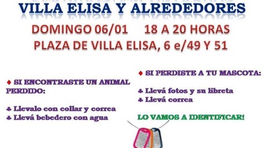 Pirotecnia, entretenimiento de idiotas: encontraron 17 mascotas perdidas pero no aparecieron los dueños y habrá otra movida en Villa Elisa