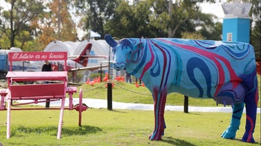 Patos azules, vacas amarillas, chanchos violetas: avanza el proyecto psicodélico de la granja educativa en la Repu