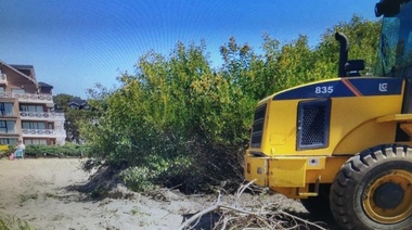 Topadora mata médano: acusan a dos empresarios platenses por daño ambiental en Costa del Este