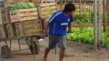 Una trama de crueldad y esclavitud detrás del Cinturón Frutihortícola con el que se llena la boca la política platense