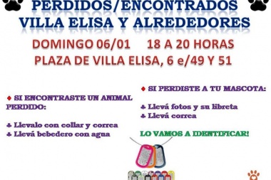 Pirotecnia, entretenimiento de idiotas: encontraron 17 mascotas perdidas pero no aparecieron los dueños y habrá otra movida en Villa Elisa