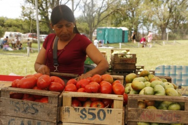 Por el desastre que hizo el temporal, dicen que el tomate y el morrón vendrán a precio de Mercedes Benz