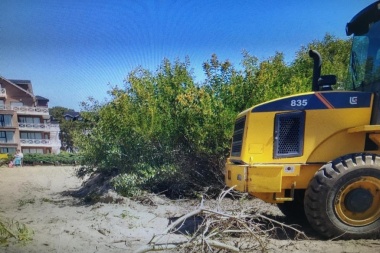 Topadora mata médano: acusan a dos empresarios platenses por daño ambiental en Costa del Este