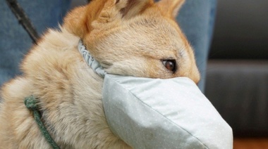 No hay que ceder a los sinverguenzas especuladores: el barbijo es menos útil que cenicero de moto