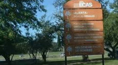 Investigan si un sindicalista de UPCN usaba caballos del Ecas para alquilarlos en provecho propio