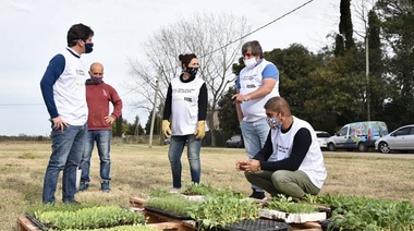 En plazas, ramblas y donde se pueda: la Muni platense fogonea las huertas vecinales