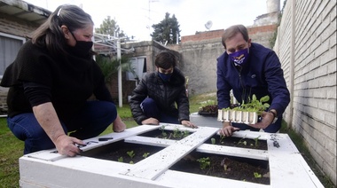 Siguen brotando huertas comunitarias en comedores de La Plata