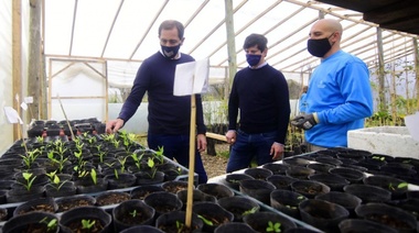 Los perritos aplauden: Garro anunció que se plantarán 10 mil nuevos ejemplares para recuperar el histórico arbolado de la ciudad
