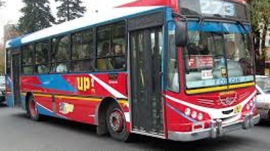 Paro en La Plata: los dueños de los colectivos no le pagan a sus choferes y los platos rotos los pagan los usuarios