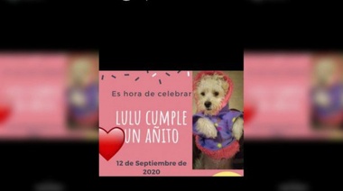 Funcionaria cordobesa hizo una fiesta para 10 personas porque su perrita Lulú cumplía un añito