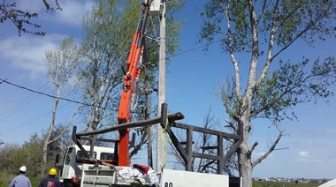 Si hay viento que no se caigan: Edelap sigue colocando columnas de hormigón para reemplazar a las de tronco de palmera