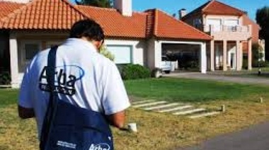 Chetoplaneros: revelan que 230 countrys esquivan impuestos por $1.500 millones al año