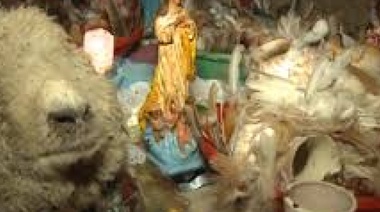 Horror en Los Hornos: aseguran que una secta umbanda tortura y sacrifica animales