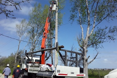 Si hay viento que no se caigan: Edelap sigue colocando columnas de hormigón para reemplazar a las de tronco de palmera