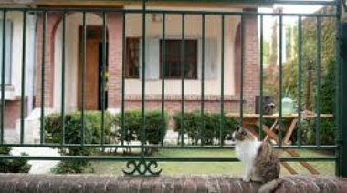 Una verguenza para La Plata: otra vez robaron y saquearon el Espacio Cultural Casa Abierta y podría cerrar definitivamente