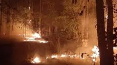 "Un camino de combustible": van detrás de usurpadores por el incendio en Parque Pereyra