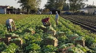 Harto de tanto verso, el Cinturón Frutihortícola se hará oír donando 10 mil kilos de verduras