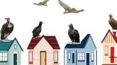 Buitres: esperan que el Colegio de Martilleros aclare una grave denuncia contra una inmobiliaria de La Plata