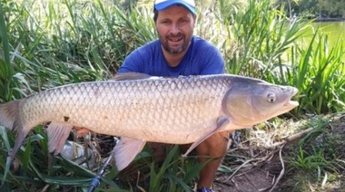 En cualquier momento muerde el anzuelo Godzilla: el que pesca en el lago del Bosque sacó otro bicharraco enorme