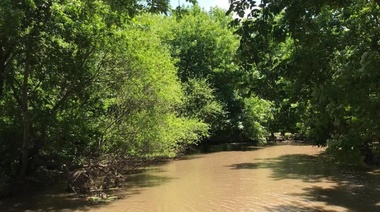 Con una ordenanza que prohíbe construir, salvan al arroyo El Pëscado