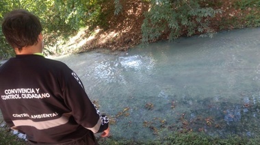 Hasta pueden ir en cana: la comuna imputó al Frigorífico de Gorina por la contaminación del Arroyo Rodríguez