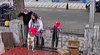 Le regalaron otro chaleco al perro que había despojado un delincuente