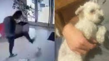 Le recomendaron hacer un taller de "control de ira" al referí que agarró a patadas a una perrita en un edificio platense