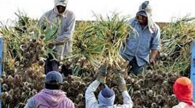 Reducción a la servidumbre: lo que la política y el sindicalismo "no ve" del Cinturón Frtuhirotícola de La Plata