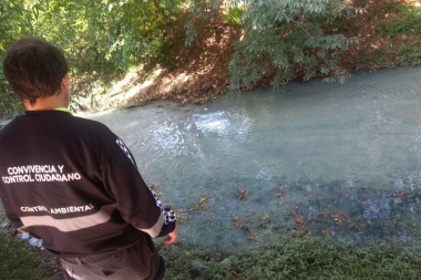 Hasta pueden ir en cana: la comuna imputó al Frigorífico de Gorina por la contaminación del Arroyo Rodríguez